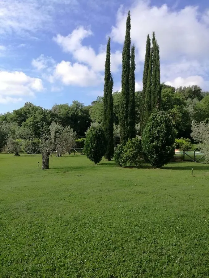 Casa di campagna Casa al Molino 30 Affittacamere Castagneto Carducci Italia