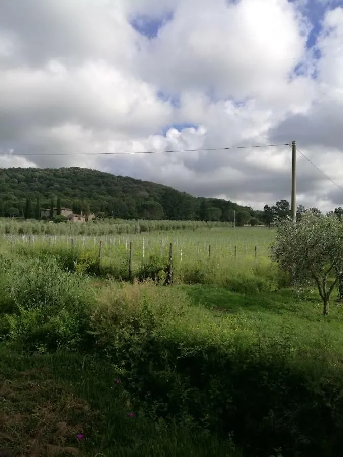 Casa Al Molino 30 Vendégház Castagneto Carducci 0*,  Olaszország